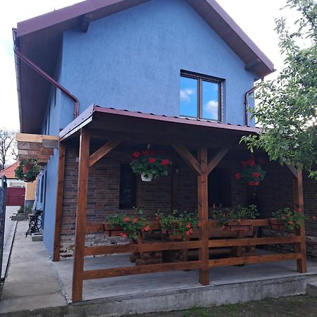Casa Rustica Saceleana Villa Eksteriør billede