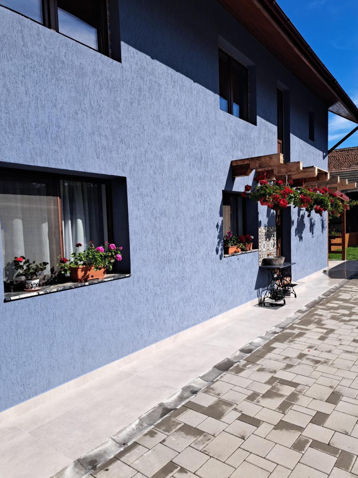 Casa Rustica Saceleana Villa Eksteriør billede