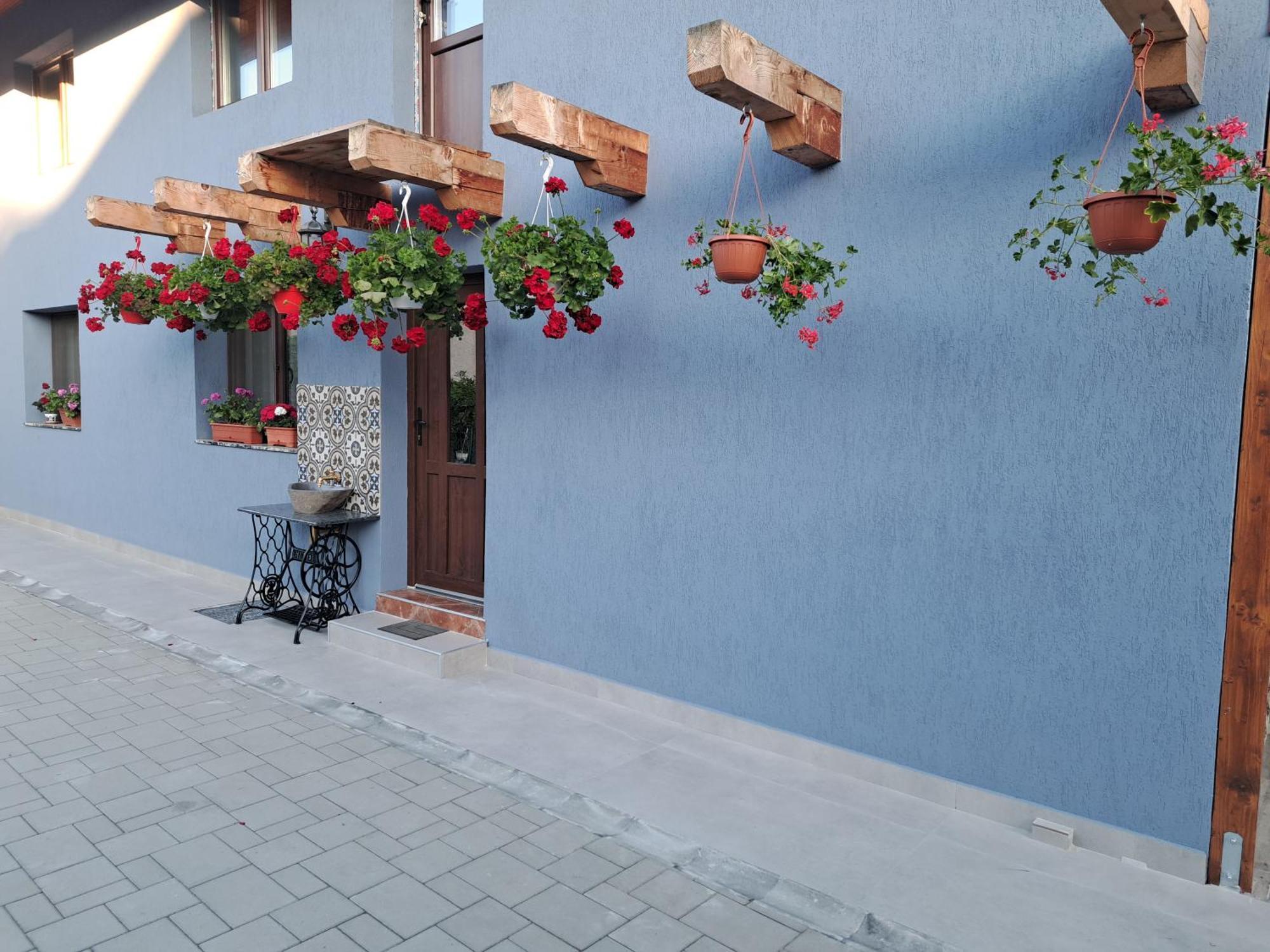 Casa Rustica Saceleana Villa Eksteriør billede